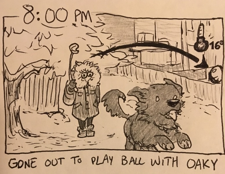 gone out to play ball with oaky. i'm back in my giant parka as it's 16° outside. i'm using a chuck-it to throw the ball in the backyard strip for oakley to go long