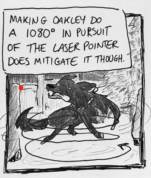 making oakley do a 1080° in pursuit of the laser pointer does mitigate it though. in my living room, oakley's tongue is lolling way out of her head as her body contorts itself in circles, chasing the little red dot.