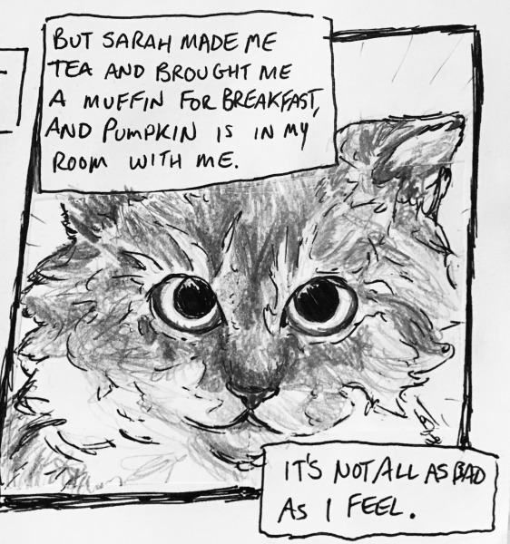 but sarah made me tea and brought me a muffin for breakfast, and pumpkin (the cat) is in my room with me. it's not all as bad as i feel.