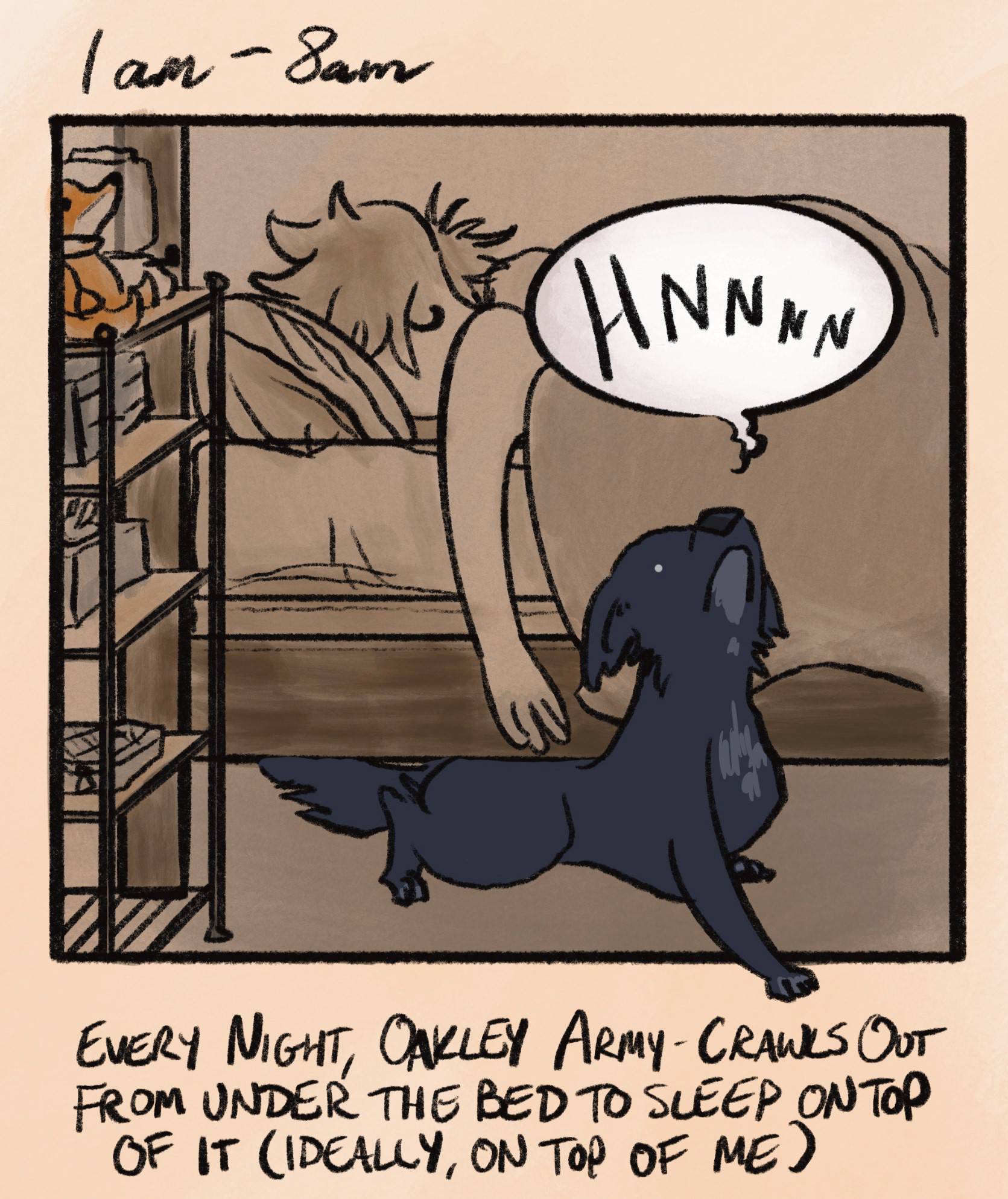 caption: “1am - 8am: every night, oakley army-crawls out from under the bed to sleep on top of it (ideally, on top of me).” i am asleep in my dark bedroom as oakley the black lab/blue heeler mix oozes her way out from under the bed with a grimace and a loud “HNNNNN.” there's not really enough space for her to fit there but she sure tries anyway