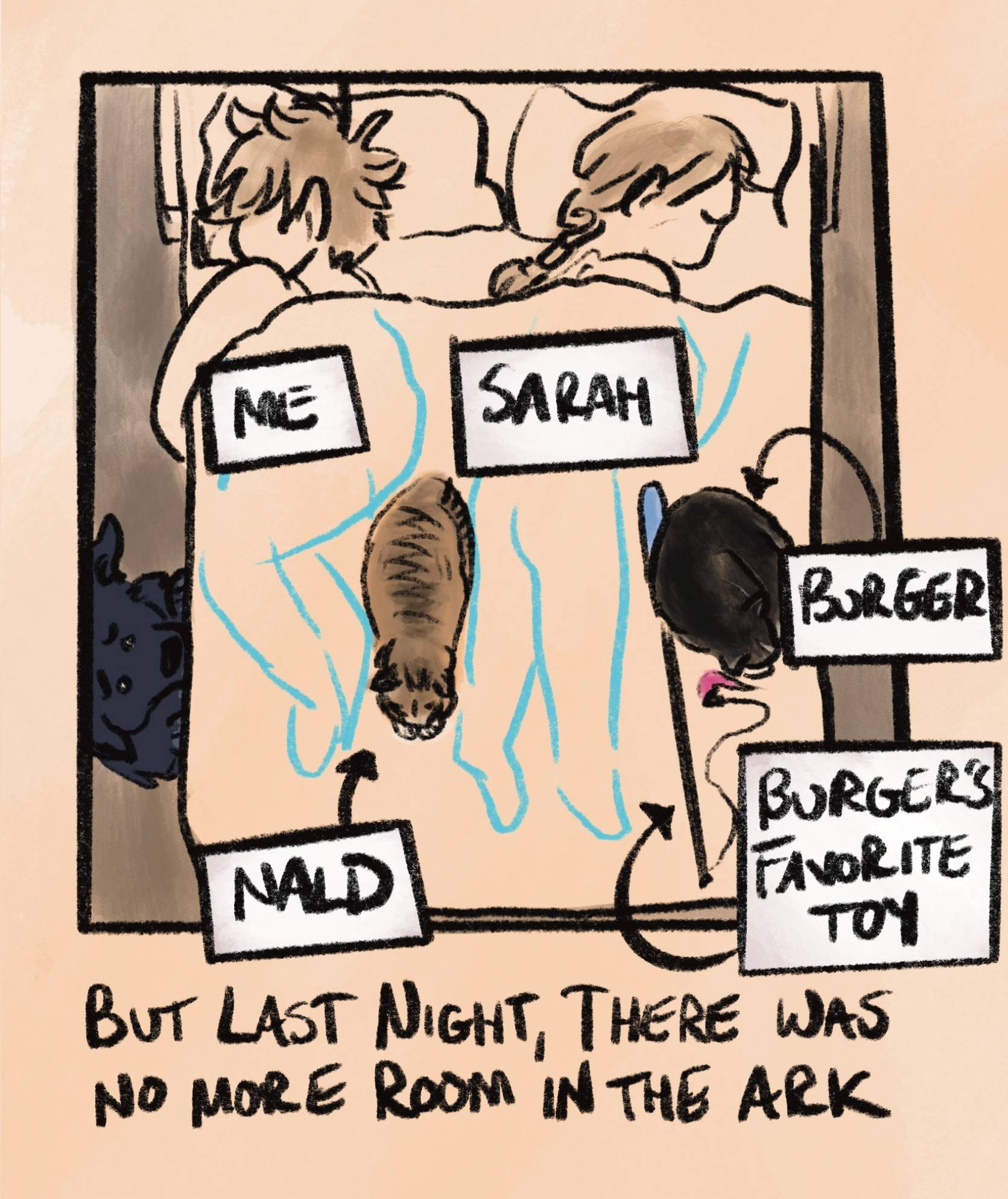 caption: “but last night, there was no more room in the ark.”  this diagram shows how crowded the bed is: i'm curled up to make space for my brown tabby cat named nald, while sarah is in a straight line between nald, our black tuxedo cat burger, and burger's favorite toy, a teaser wand with a fuzzy worm on the end. oakley has her paws up on the side of the bed, looking for space, but there's not quite enough for her to fit.